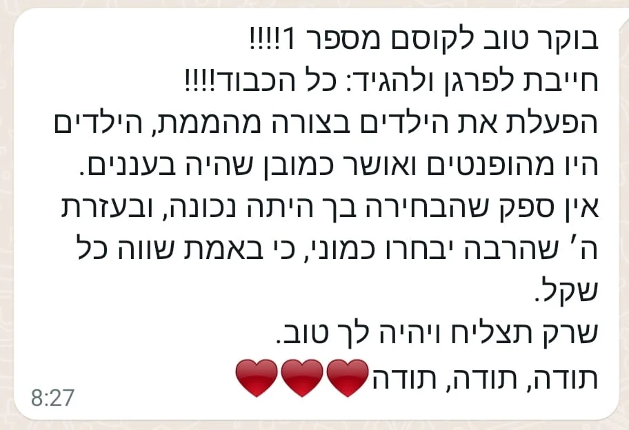המלצה 19
